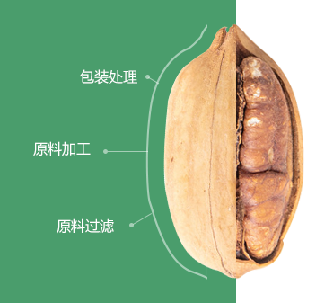 碧根果成人糖心视频APP初加工
